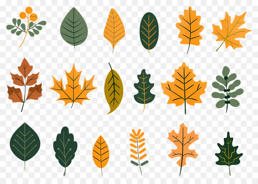 Feuilles D'automne，Automne PNG