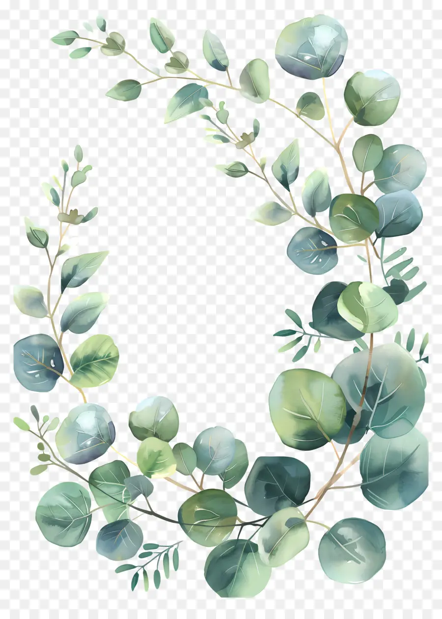 Couronne D'eucalyptus，Couronne Verte PNG