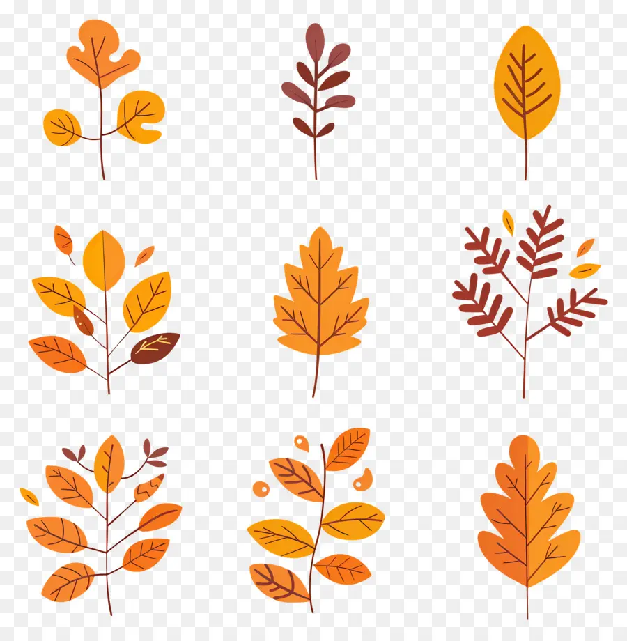 Feuilles D'automne，Branches D'automne PNG