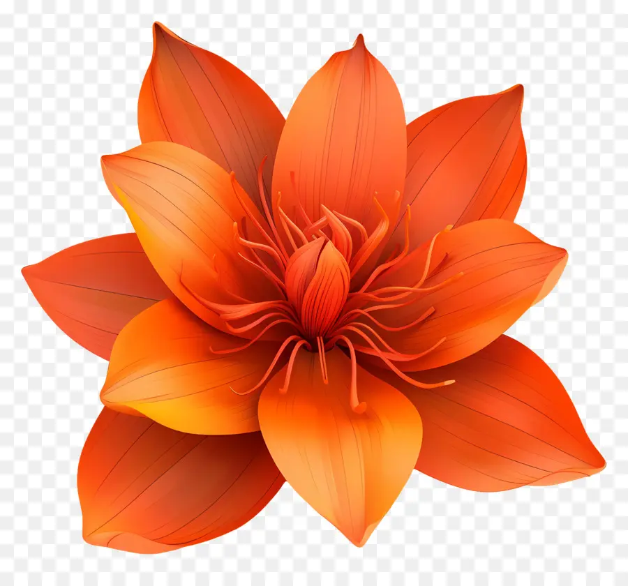 Fleur 3d，Fleurs Oranges PNG