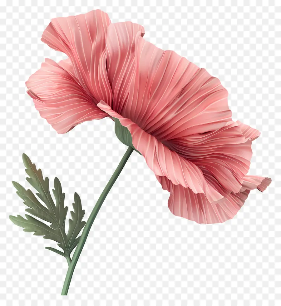 Fleur 3d，Fleur Rose PNG