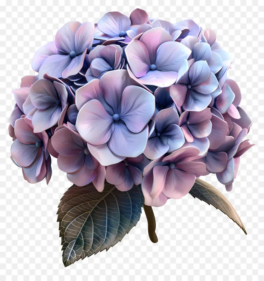 Fleur 3d，Hortensia PNG