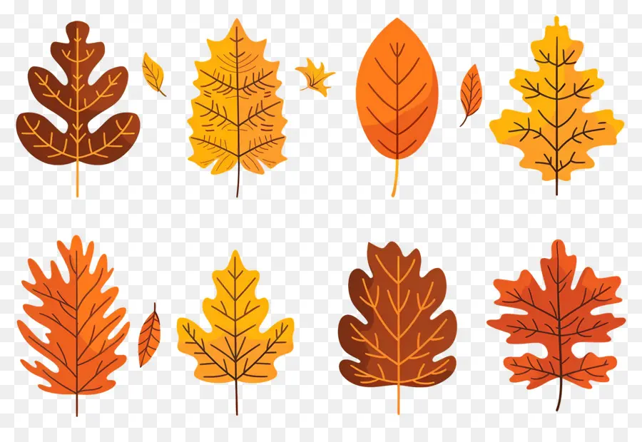 Feuilles D'automne，Automne PNG