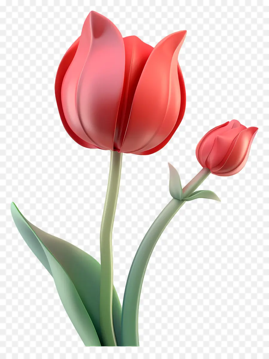 Fleur 3d，Fleur Rouge PNG