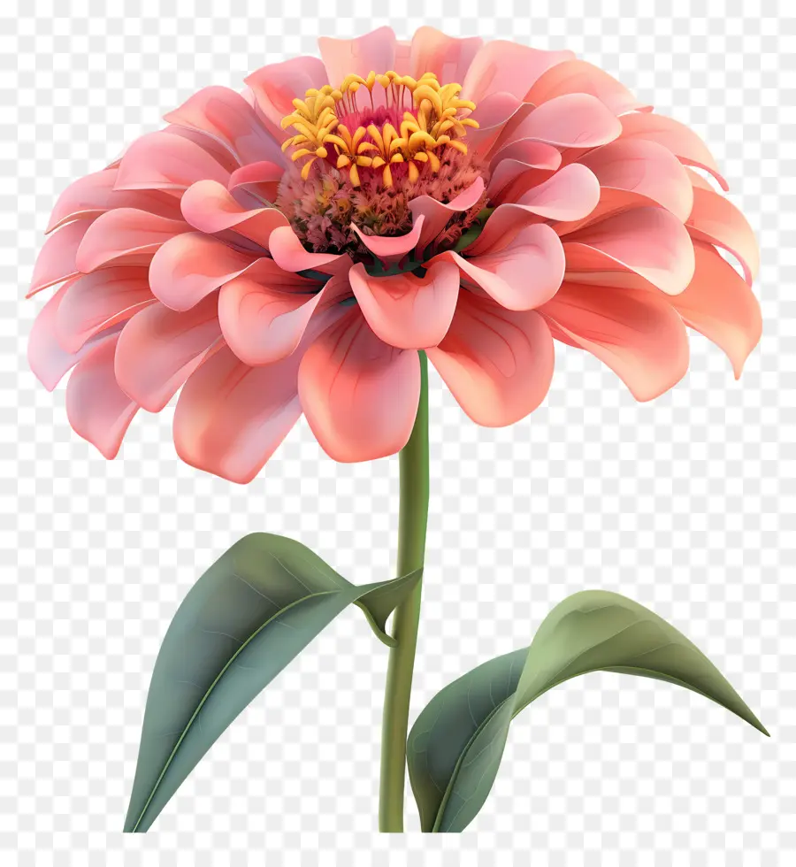 Fleur 3d，Fleur Rouge PNG