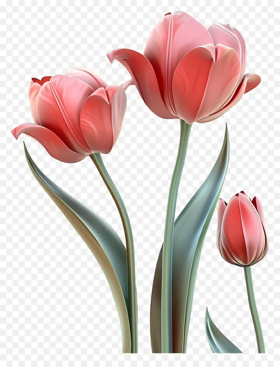 Fleur 3d，Tulipes Roses PNG