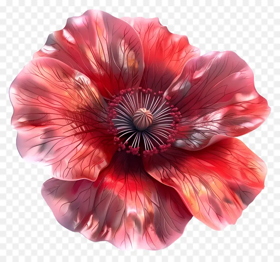 Fleur 3d，Fleur Rouge PNG