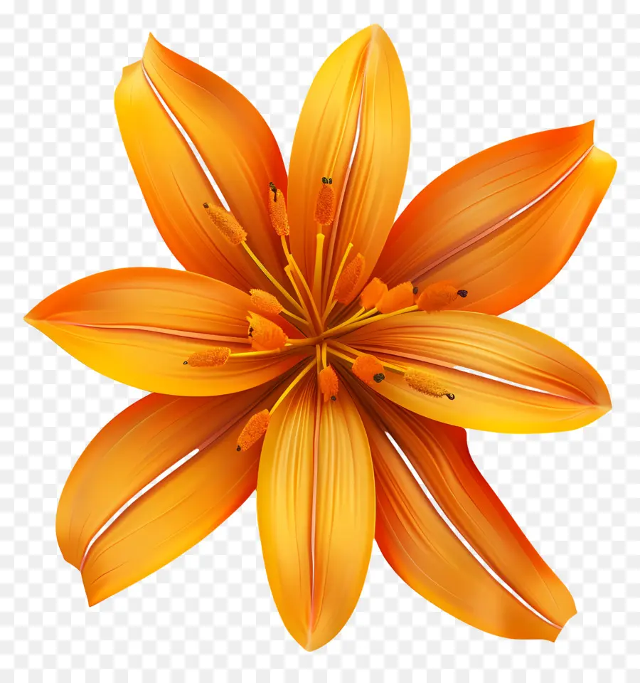 Fleur 3d，Fleur De Lys Orange PNG