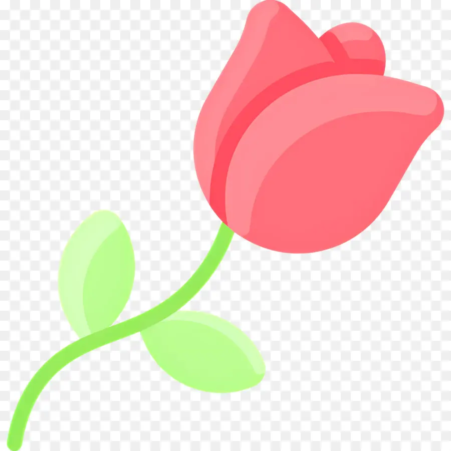 Fleur Rose，Rose Simple PNG