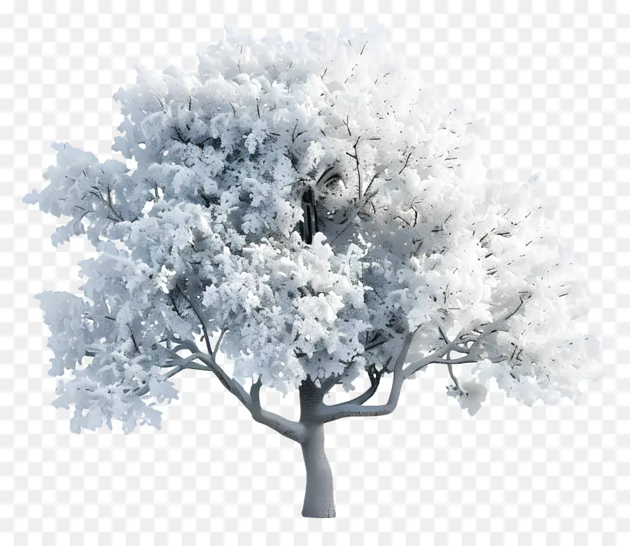 Arbre Enneigé，Hiver PNG