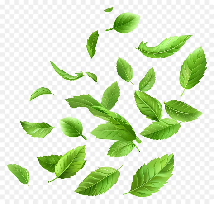 Feuilles Qui Tombent，Feuilles Vertes PNG