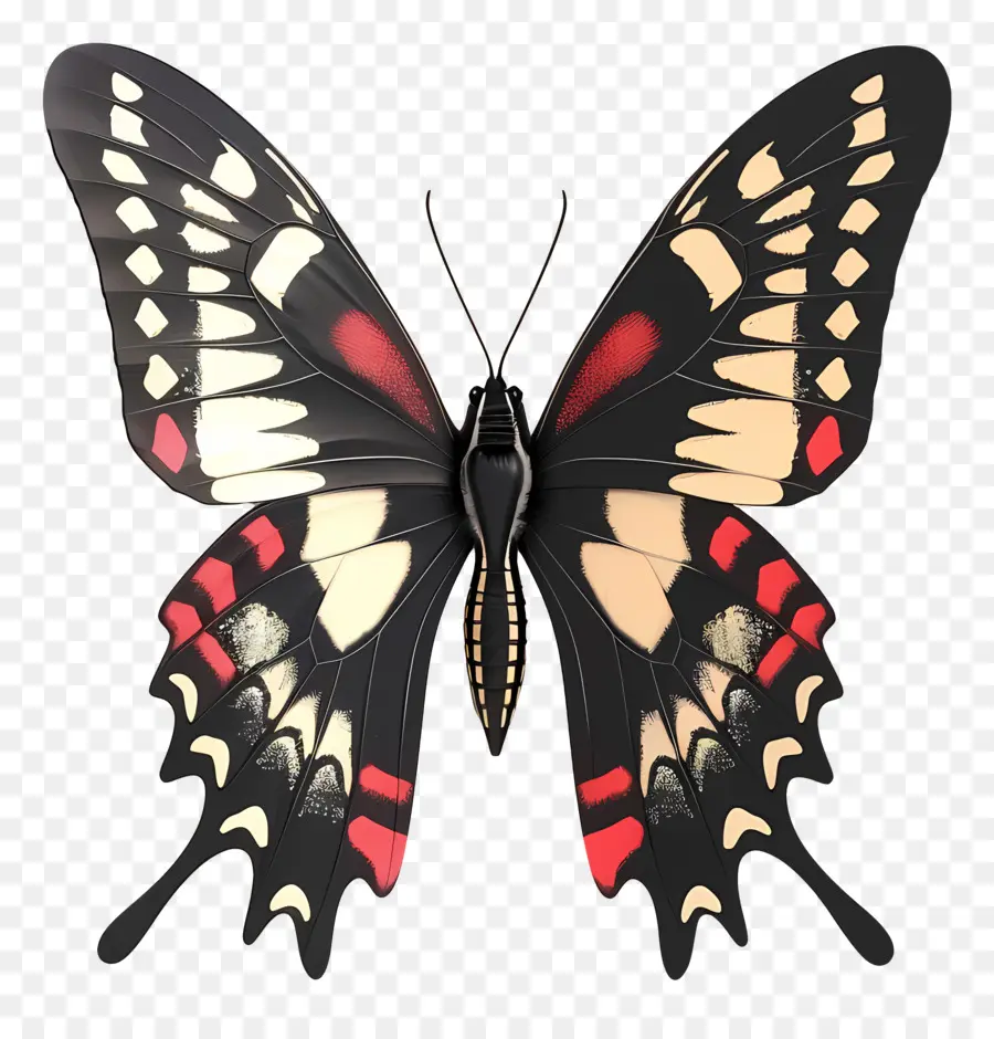 Papillon Animé，Papillon PNG