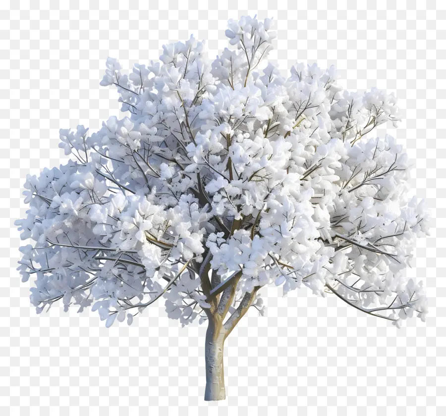 Arbre Enneigé，Hiver PNG