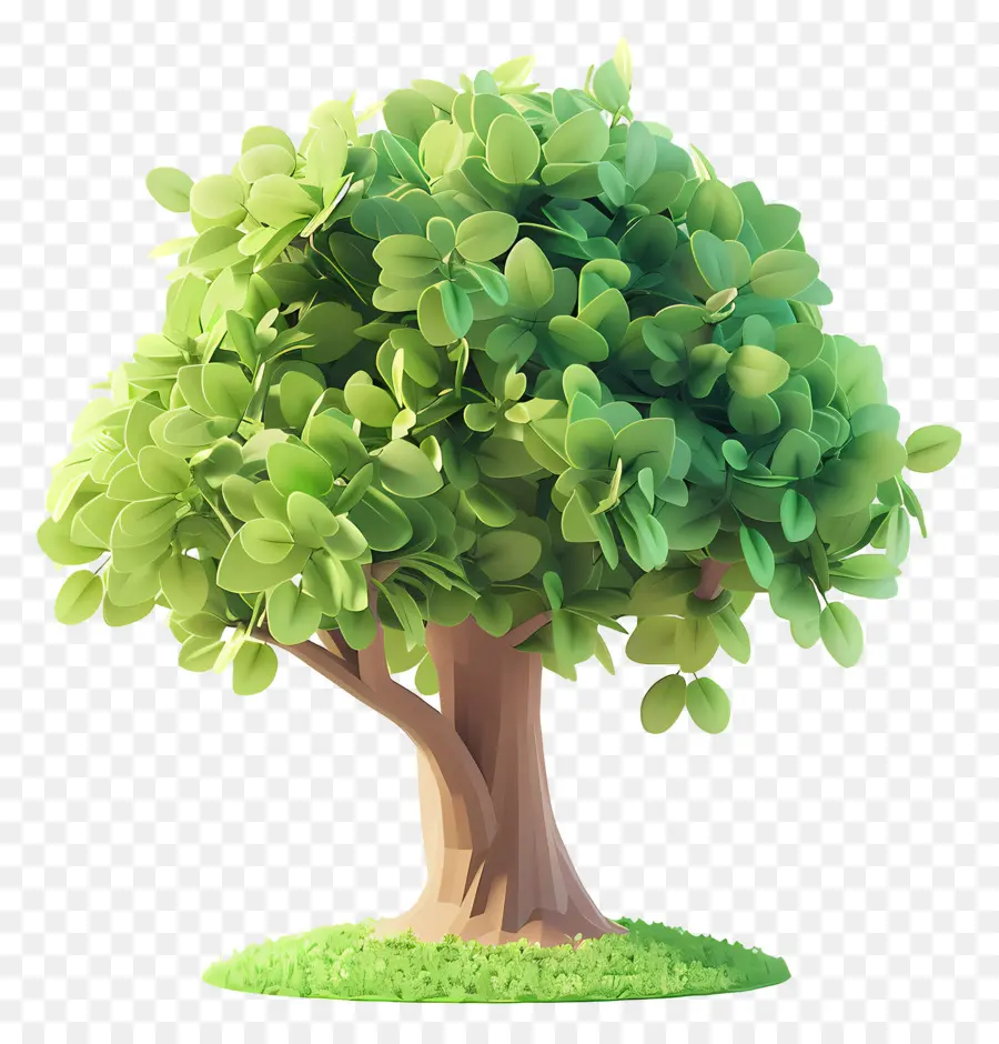 Arbre Animé，Arbre Vert PNG