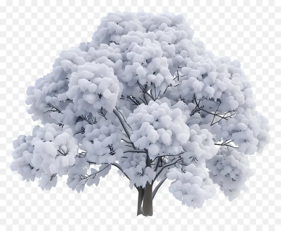 Arbre Enneigé，Hiver PNG