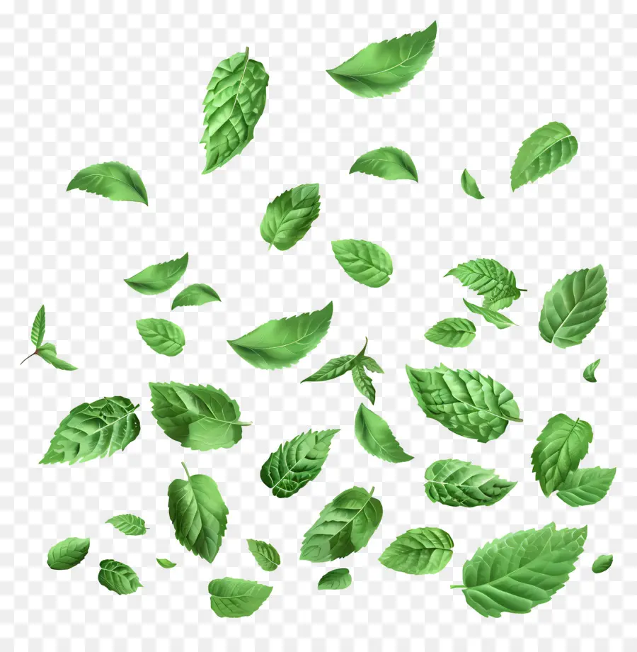 Feuilles Qui Tombent，Feuilles PNG