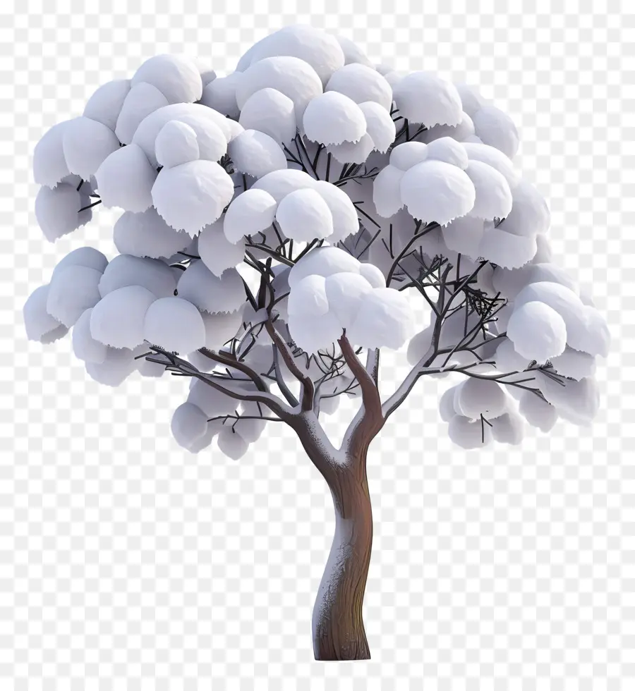 Arbre Enneigé，Plant De Coton Blanc PNG