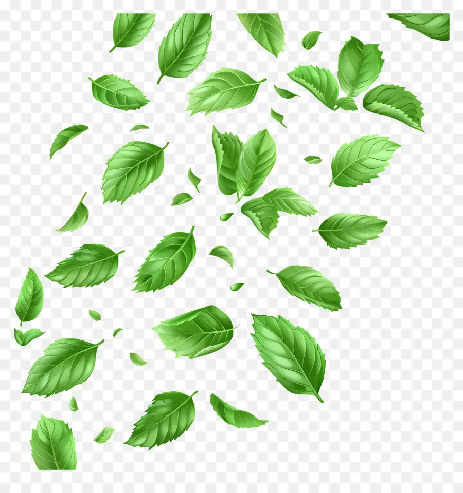 Feuilles Qui Tombent，Feuilles PNG