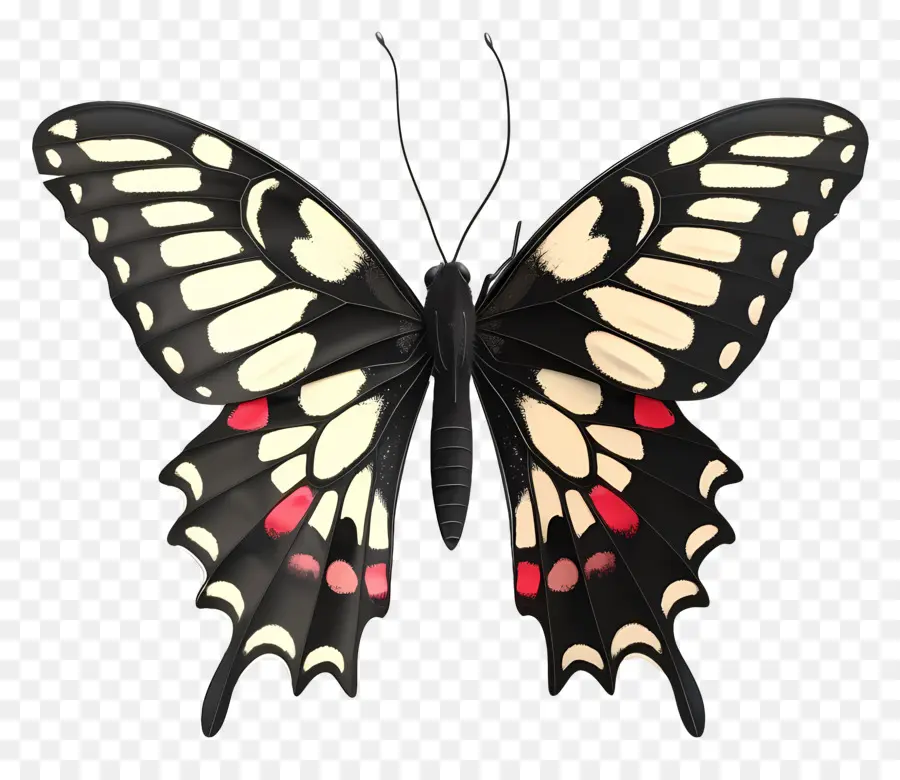 Papillon Animé，Papillon Rouge PNG