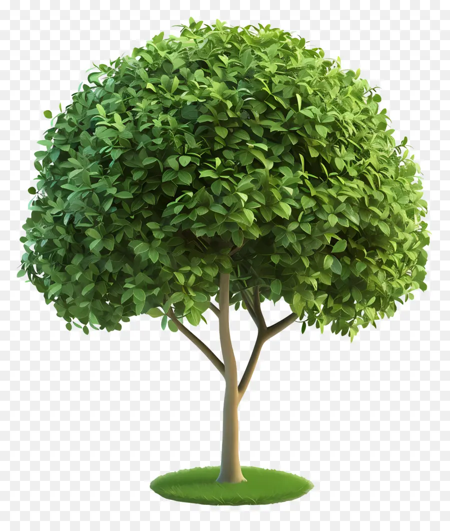 Arbre 3d，Arbre Vert PNG