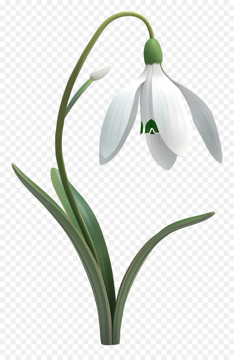 Fleur 3d，Perce Neige PNG