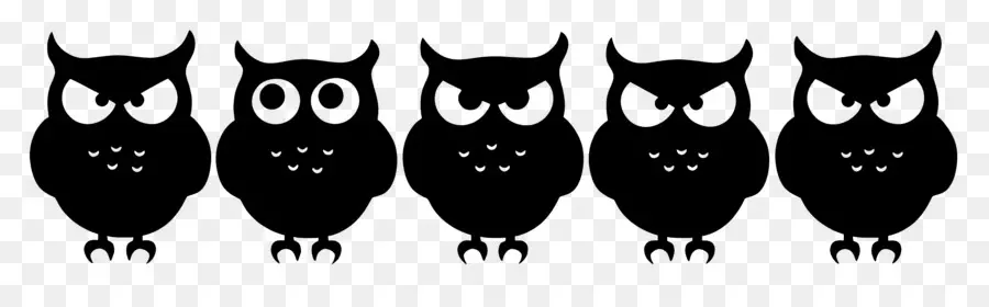 Frontière D'halloween，Silhouettes De Hibou PNG