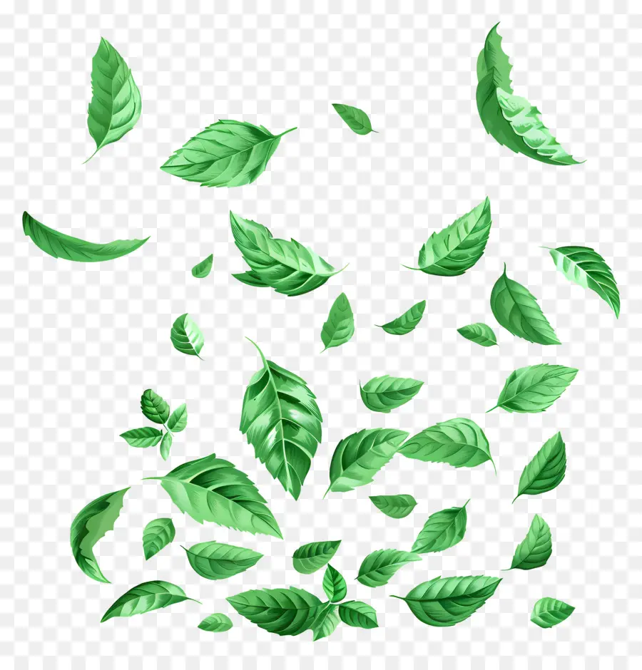 Feuilles Qui Tombent，Feuilles PNG