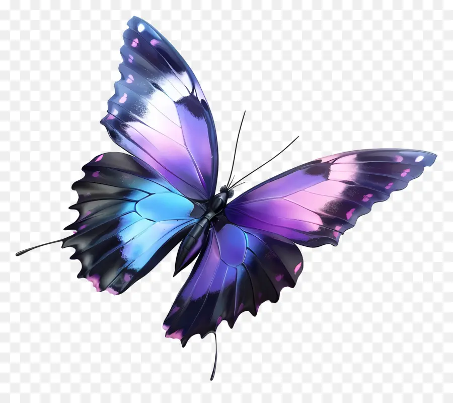 Papillon Animé，Papillon Coloré PNG