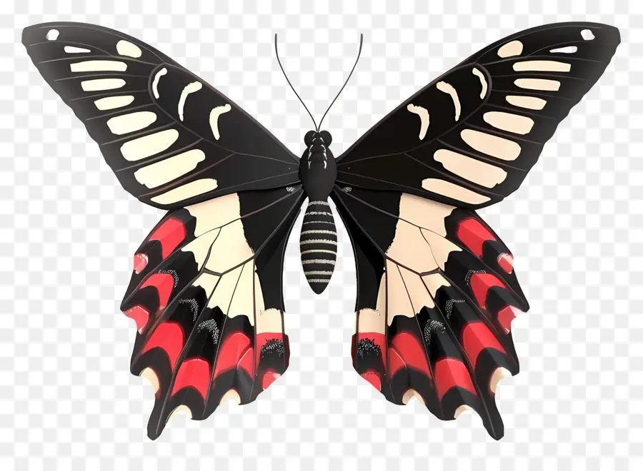 Papillon Animé，Papillon Coloré PNG