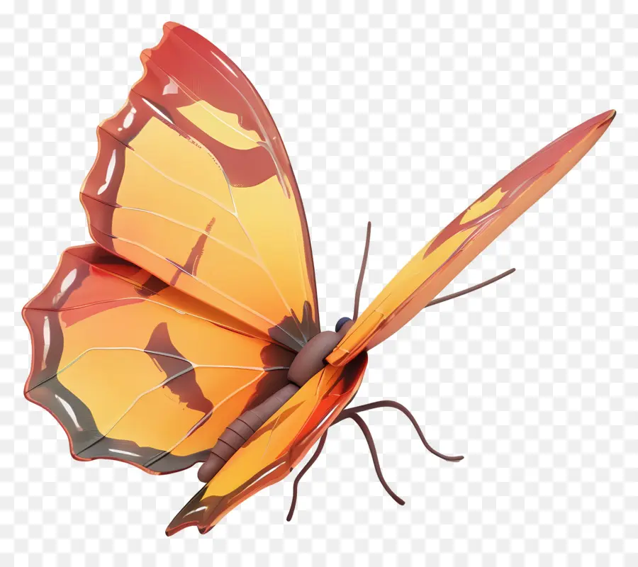 Papillon Animé，Papillon Orange PNG