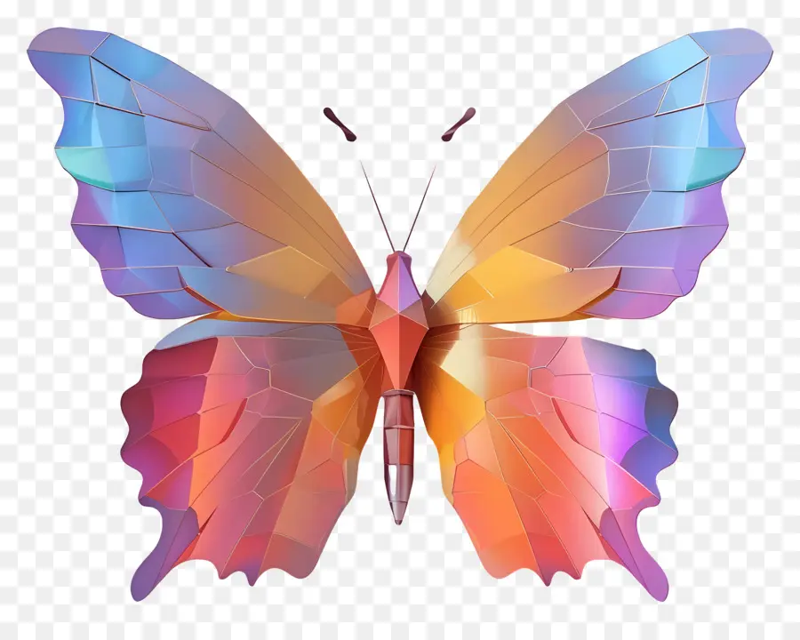 Papillon Animé，Papillon Coloré PNG