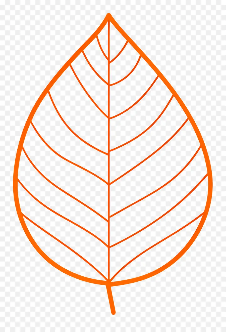 Feuille Unique，Feuille D'oranger PNG