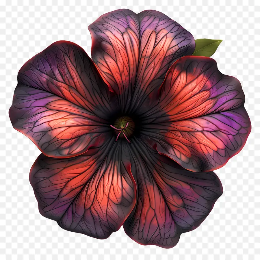 Fleur 3d，Fleur Colorée PNG