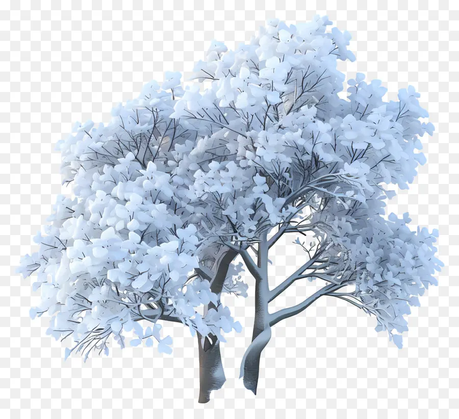 Arbre Enneigé，Hiver PNG