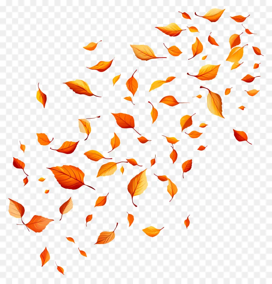 Feuilles Qui Tombent，Feuilles PNG