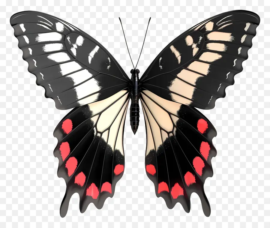 Papillon Animé，Papillon Coloré PNG