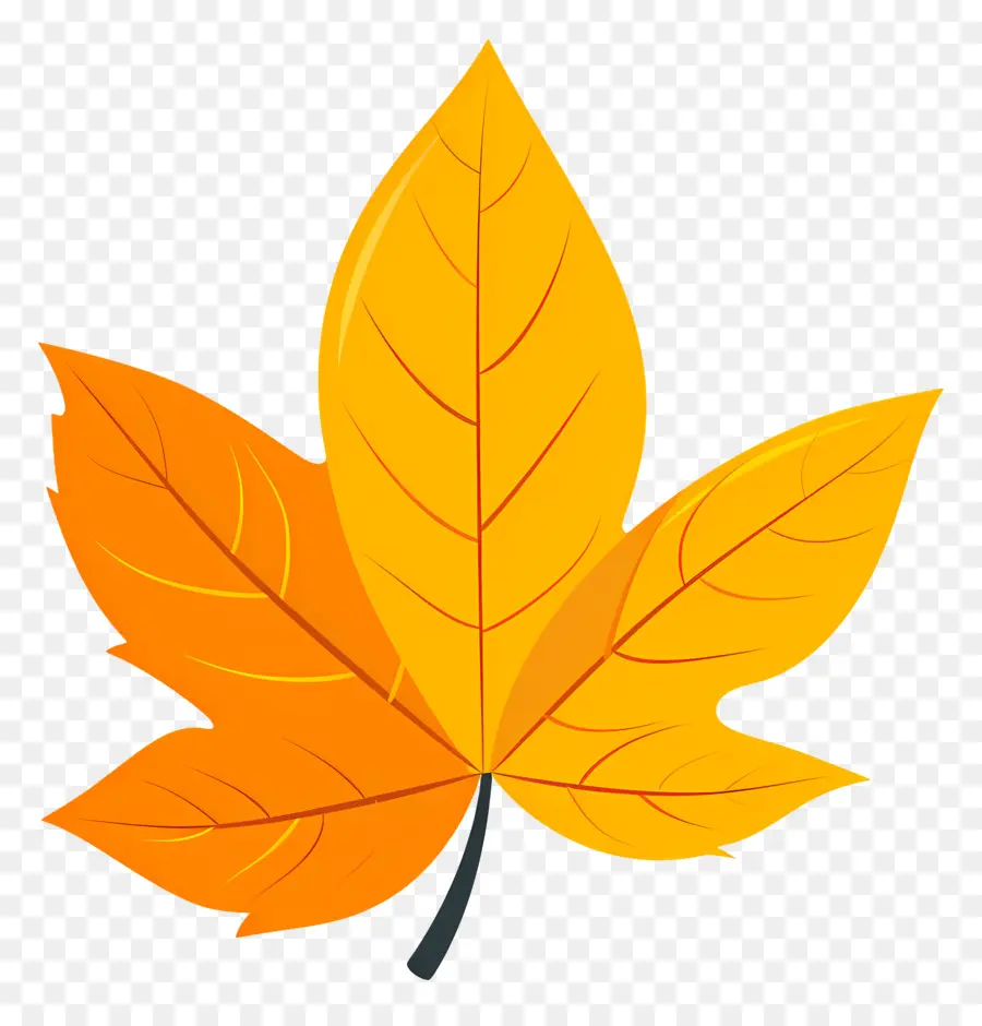 Feuille Unique，Feuilles D'automne PNG