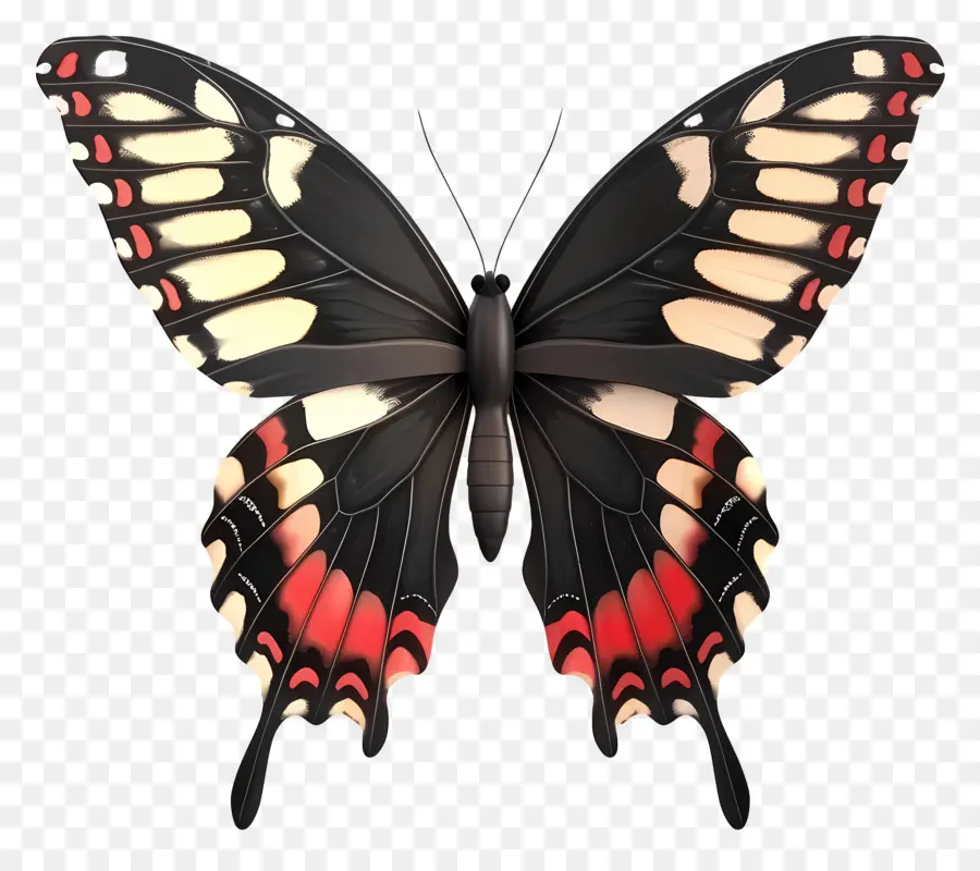 Papillon Animé，Papillon Coloré PNG