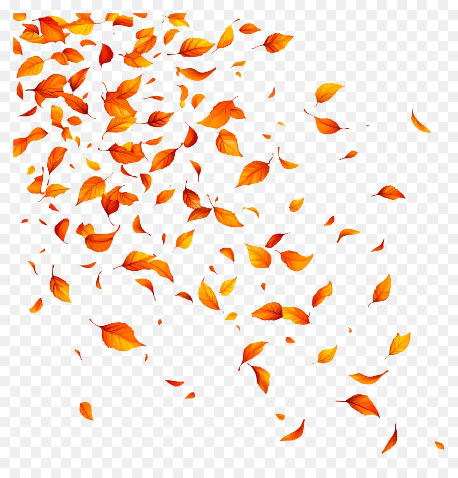 Feuilles Qui Tombent，Automne PNG