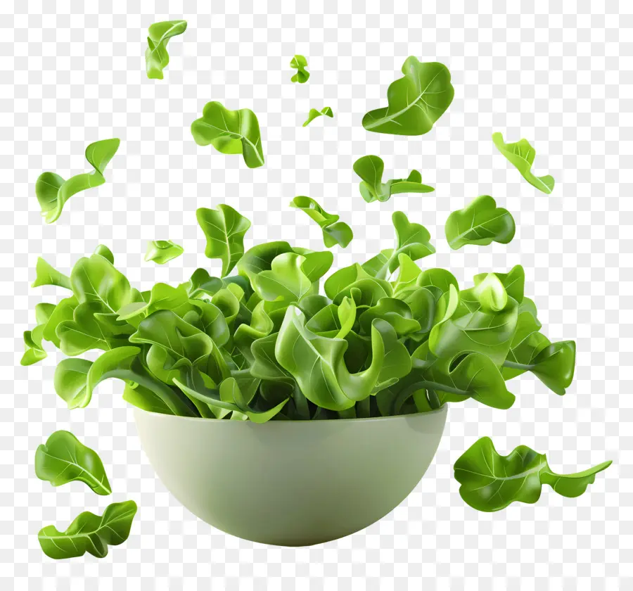 Salade Verte，Feuilles Vertes PNG