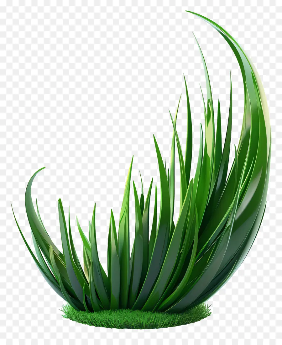 Herbe Longue，Herbe Verte PNG