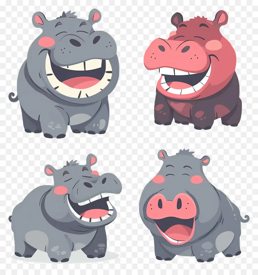 Hippopotame Mignon，Hippopotames Qui Rient PNG