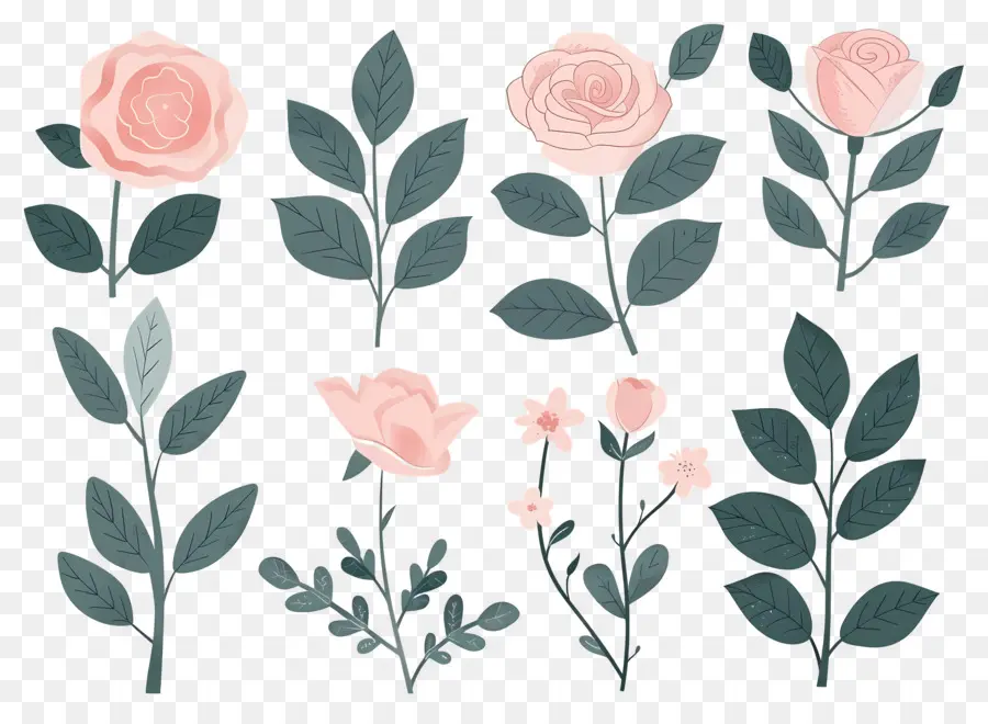 Roses Roses，Tiges De Roses PNG