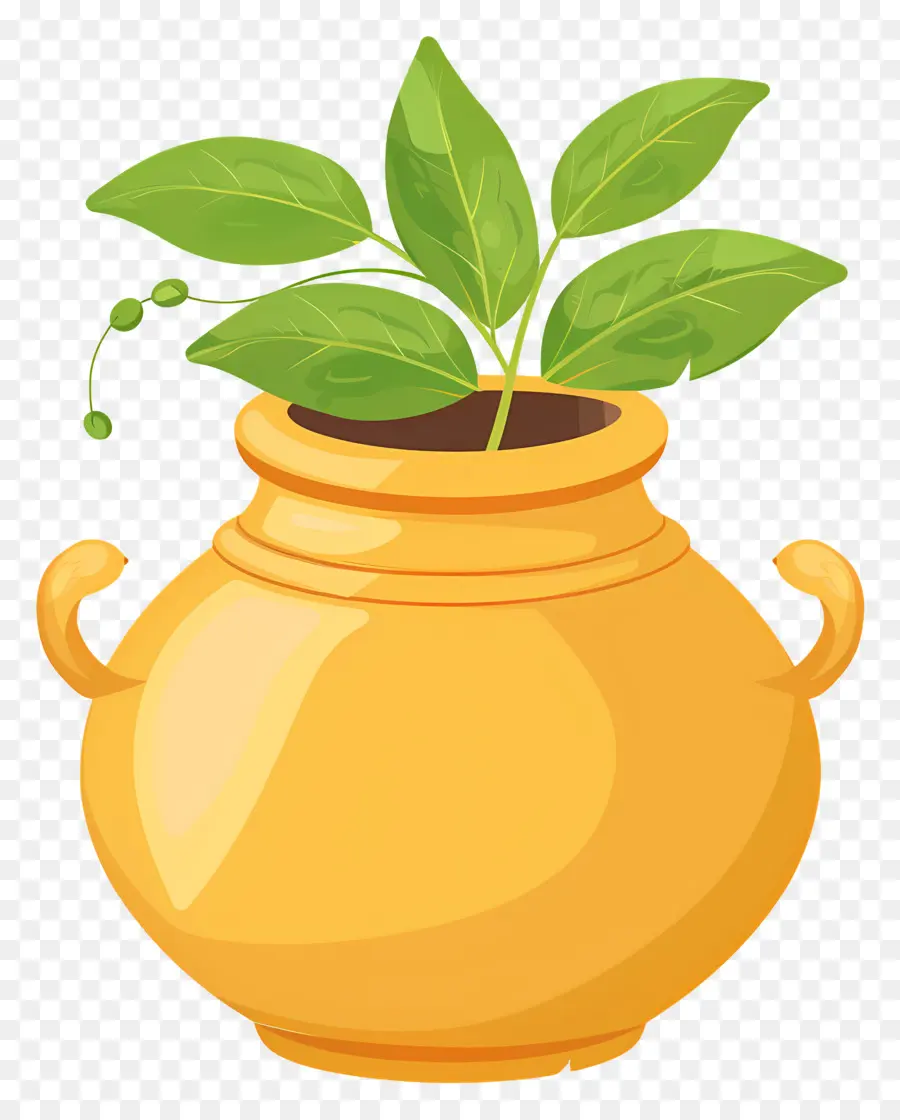 Pot Indien，Pot Jaune Avec Plante PNG