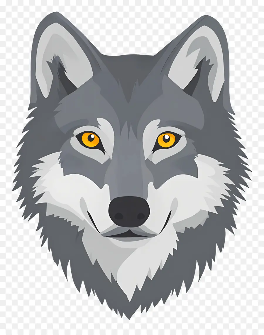 Tête De Loup，Visage De Loup PNG