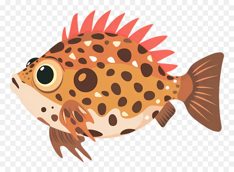 Poisson Globe Mignon，Poisson PNG