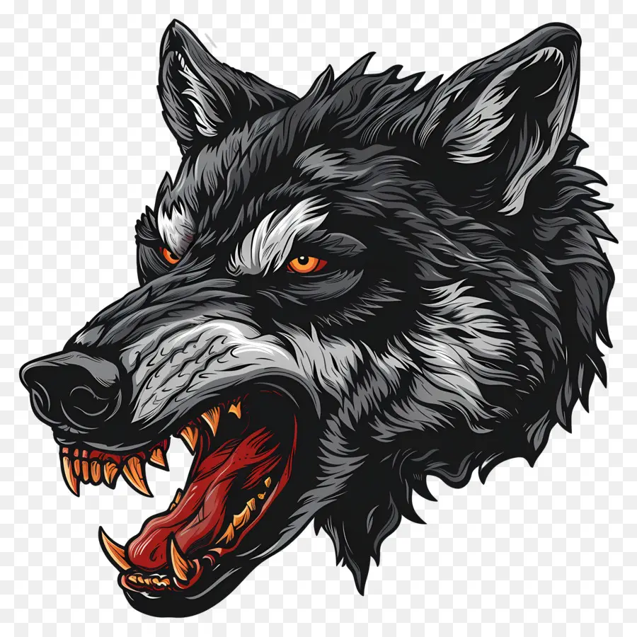 Tête De Loup，Animal PNG