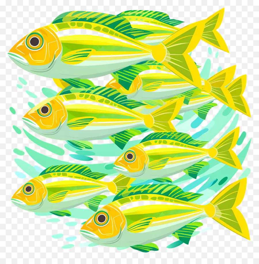 Groupe De Poissons，Poisson Coloré PNG