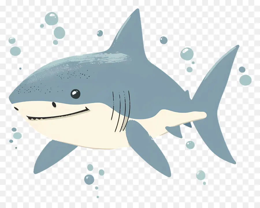 Requin Mignon，Aquatique PNG