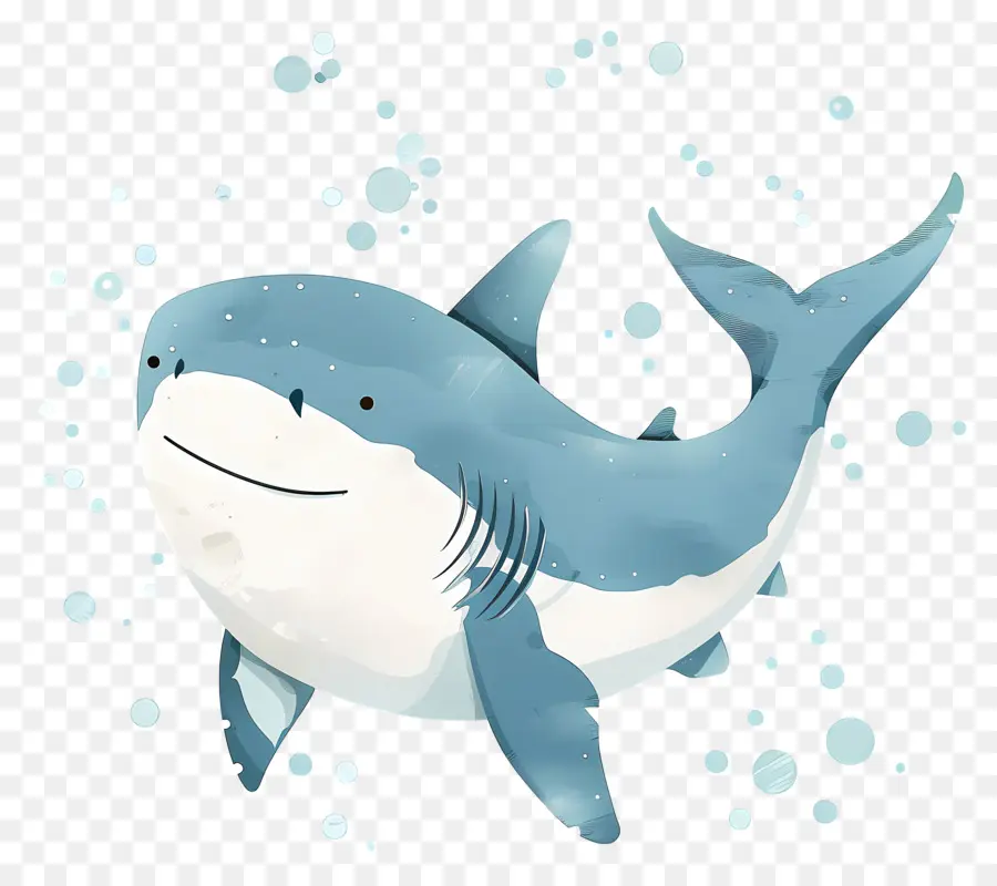 Requin Mignon，Souriant PNG